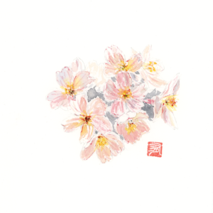 Aquarelle Sakura