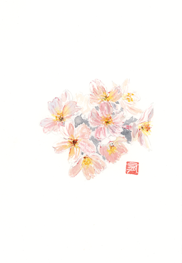 Aquarelle Sakura