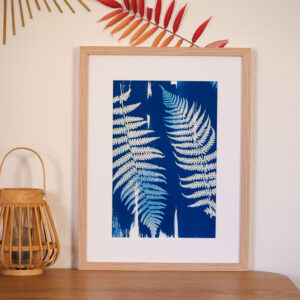 Cyanotype Nuances