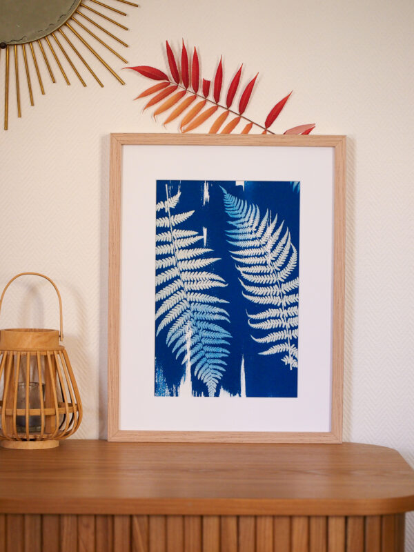 Cyanotype Nuances