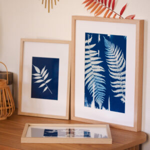 Cyanotype Nuances