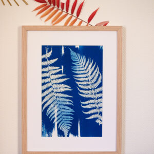 Cyanotype Nuances