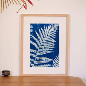 Cyanotype yamakusa 山草