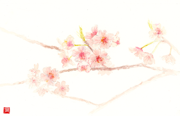 COMPLET - Atelier Aquarelle intermédiaire "Sakura" 12 avril 2025